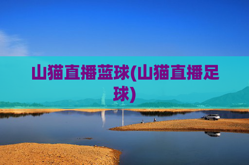 山猫直播蓝球(山猫直播足球)
