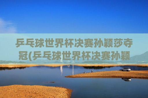 乒乓球世界杯决赛孙颖莎夺冠(乒乓球世界杯决赛孙颖莎夺冠视频)