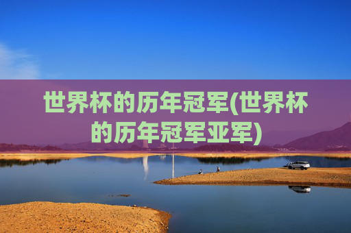 世界杯的历年冠军(世界杯的历年冠军亚军)