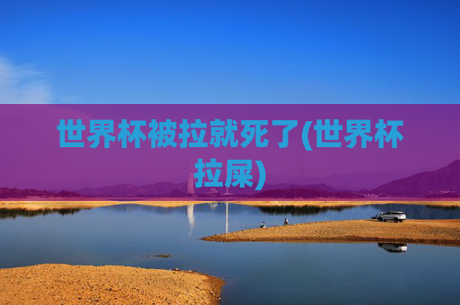 世界杯被拉就死了(世界杯拉屎)