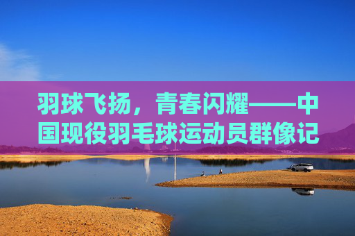 羽球飞扬，青春闪耀——中国现役羽毛球运动员群像记，羽动青春，中国现役羽毛球运动员群像