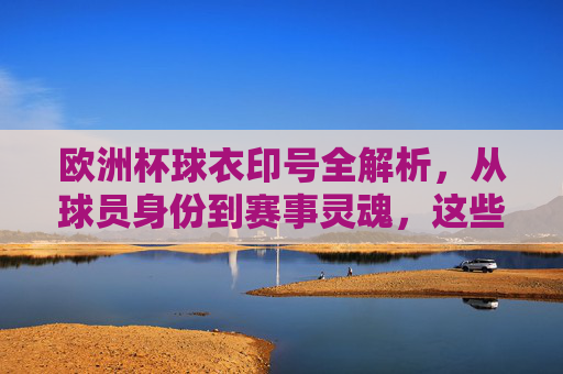 欧洲杯球衣印号全解析,从球员身份到赛事灵魂,这些标识缺一不可,欧洲杯球衣印号,从球员身份到赛事灵魂的不可或缺标识
