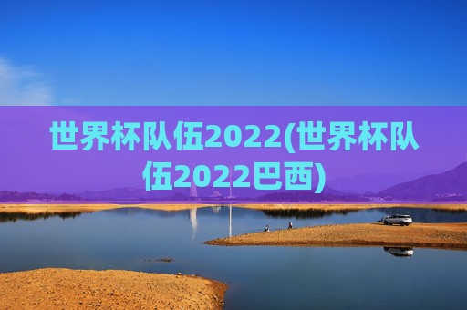 世界杯队伍2022(世界杯队伍2022巴西)