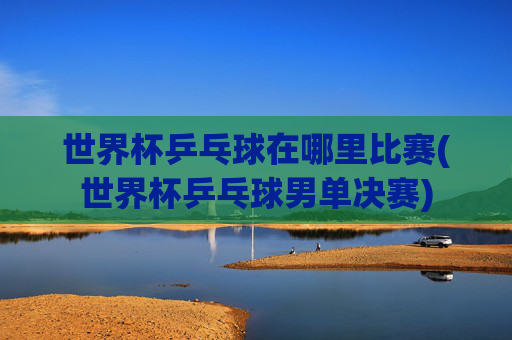 世界杯乒乓球在哪里比赛(世界杯乒乓球男单决赛)