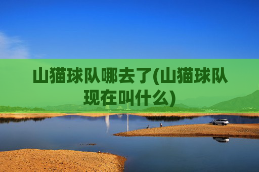 山猫球队哪去了(山猫球队现在叫什么)