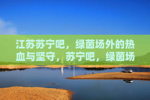 江苏苏宁吧,绿茵场外的热血与坚守,苏宁吧,绿茵场外的热血坚守