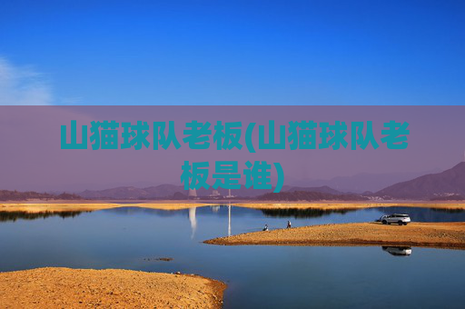 山猫球队老板(山猫球队老板是谁)