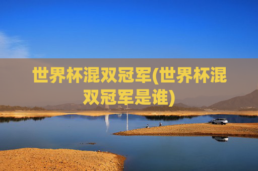 世界杯混双冠军(世界杯混双冠军是谁)