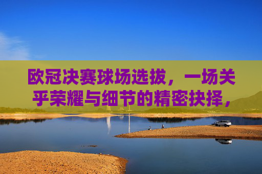 欧冠决赛球场选拔，一场关乎荣耀与细节的精密抉择，欧冠决赛球场选拔，荣耀与细节的精密抉择
