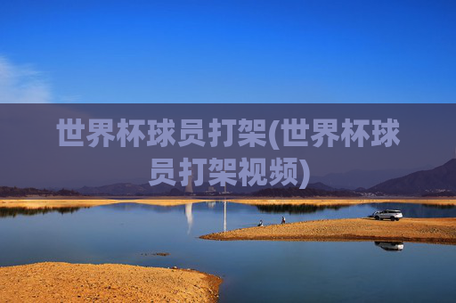 世界杯球员打架(世界杯球员打架视频)