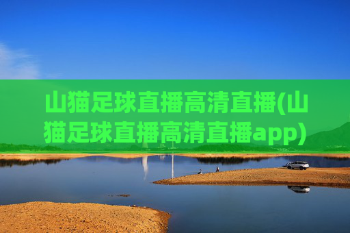 山猫足球直播高清直播(山猫足球直播高清直播app)