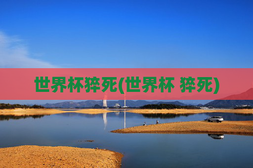 世界杯猝死(世界杯 猝死)