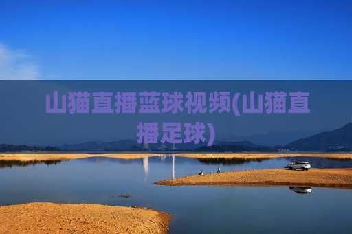 山猫直播蓝球视频(山猫直播足球)