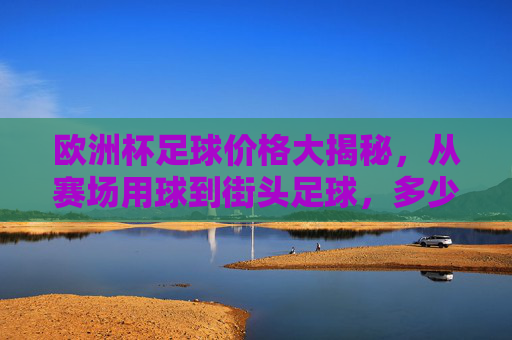 欧洲杯足球价格大揭秘，从赛场用球到街头足球，多少钱能圆你的足球梦？欧洲杯足球价格大揭秘，从赛场用球到街头足球，多少钱能圆你的足球梦？