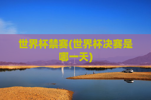 世界杯禁赛(世界杯决赛是哪一天)