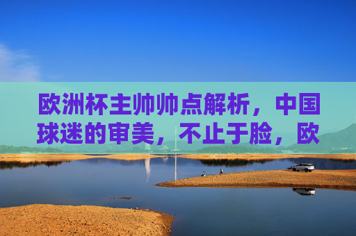 欧洲杯主帅帅点解析,中国球迷的审美,不止于脸,欧洲杯主帅帅点解析,中国球迷审美,不止于脸