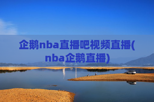 企鹅nba直播吧视频直播(nba企鹅直播)