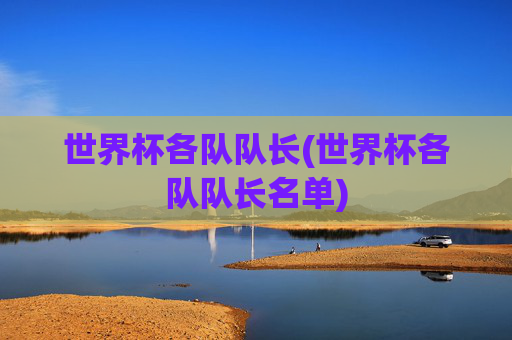 世界杯各队队长(世界杯各队队长名单)