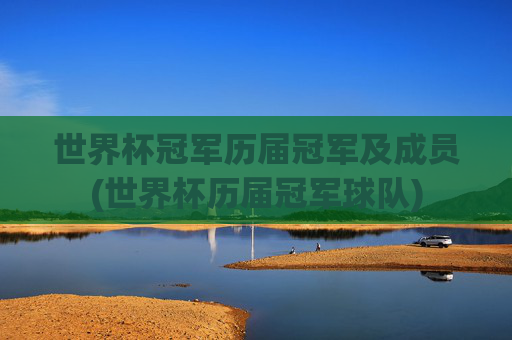 世界杯冠军历届冠军及成员(世界杯历届冠军球队)