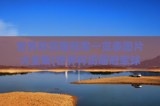 世界杯历届冠军一览表图片大全集(世界杯历届冠军球队)