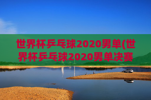 世界杯乒乓球2020男单(世界杯乒乓球2020男单决赛)