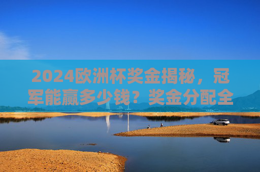2024欧洲杯奖金揭秘，冠军能赢多少钱？奖金分配全解析，2024欧洲杯奖金全解析，冠军能拿多少？
