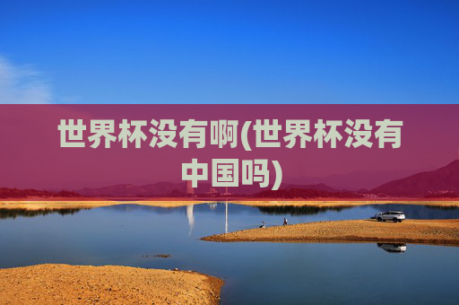 世界杯没有啊(世界杯没有中国吗)