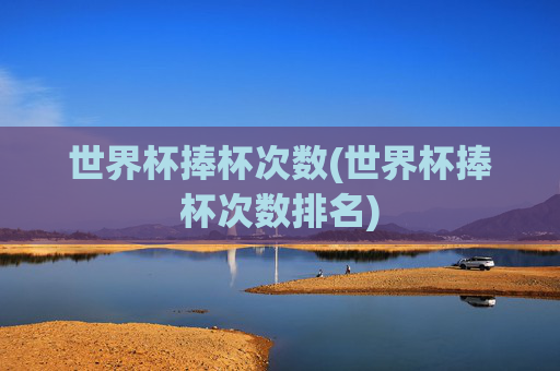 世界杯捧杯次数(世界杯捧杯次数排名)