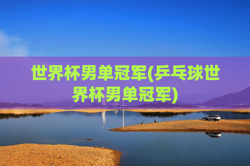 世界杯男单冠军(乒乓球世界杯男单冠军)