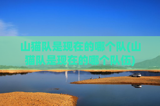 山猫队是现在的哪个队(山猫队是现在的哪个队伍)