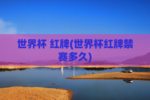 世界杯 红牌(世界杯红牌禁赛多久)