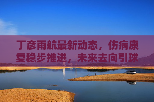 丁彦雨航最新动态,伤病康复稳步推进,未来去向引球迷热议,丁彦雨航伤病康复稳步推进 未来去向引球迷热议