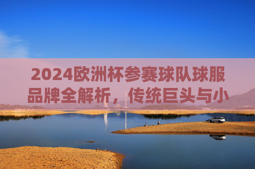 2024欧洲杯参赛球队球服品牌全解析,传统巨头与小众品牌的赛场较量,2024欧洲杯球服品牌角逐,传统巨头与小众品牌的赛场较量