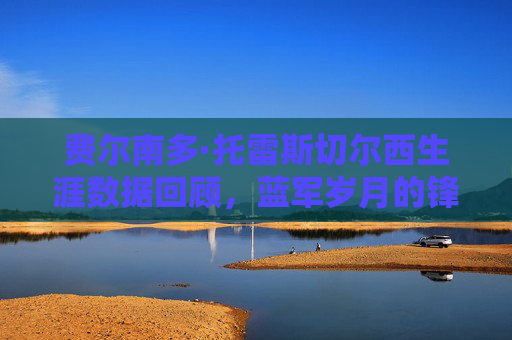费尔南多·托雷斯切尔西生涯数据回顾,蓝军岁月的锋芒与坚守,费尔南多·托雷斯,蓝军岁月的锋芒与坚守