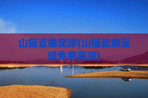 山猫直播足球(山猫直播足球免费高清)