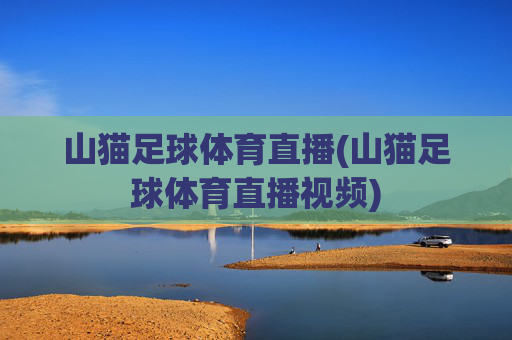 山猫足球体育直播(山猫足球体育直播视频)