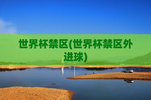 世界杯禁区(世界杯禁区外进球)