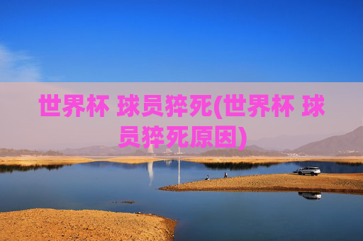 世界杯 球员猝死(世界杯 球员猝死原因)