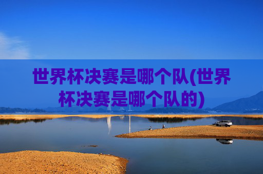 世界杯决赛是哪个队(世界杯决赛是哪个队的)