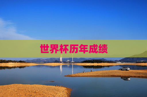 世界杯历年成绩