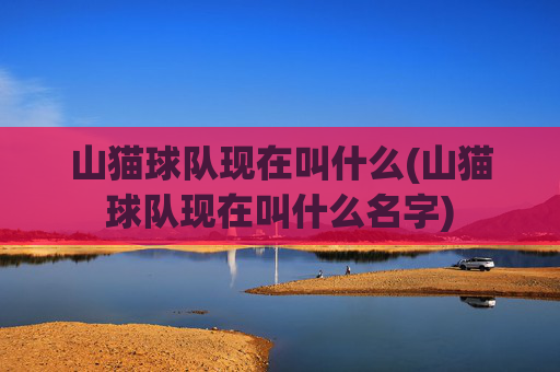 山猫球队现在叫什么(山猫球队现在叫什么名字)