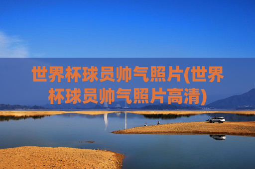 世界杯球员帅气照片(世界杯球员帅气照片高清)