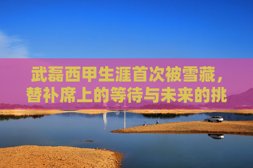 武磊西甲生涯首次被雪藏,替补席上的等待与未来的挑战,武磊西甲生涯首次遭雪藏,替补席等待与未来挑战
