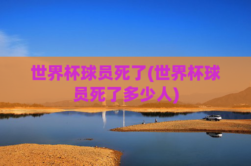世界杯球员死了(世界杯球员死了多少人)