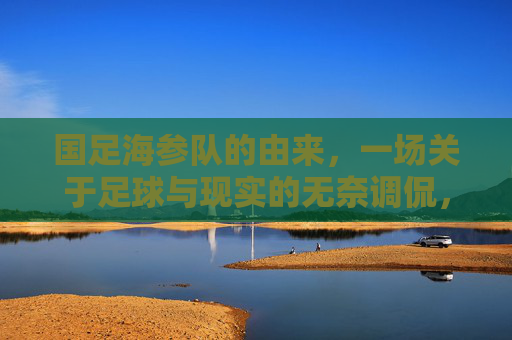 国足海参队的由来,一场关于足球与现实的无奈调侃,国足海参队由来,足球与现实的无奈调侃