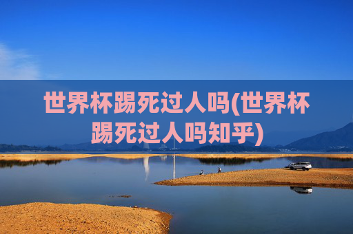 世界杯踢死过人吗(世界杯踢死过人吗知乎)