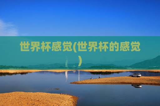 世界杯感觉(世界杯的感觉)