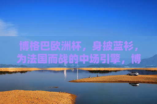 博格巴欧洲杯，身披蓝衫，为法国而战的中场引擎，博格巴欧洲杯，法国蓝衫中场引擎