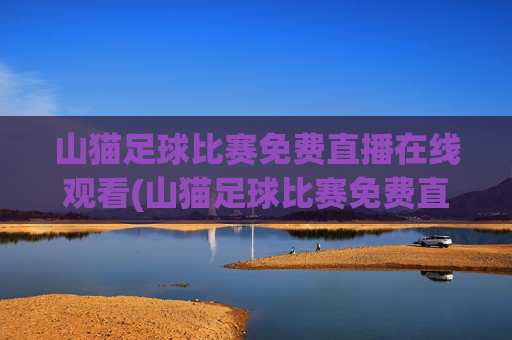 山猫足球比赛免费直播在线观看(山猫足球比赛免费直播在线观看视频)