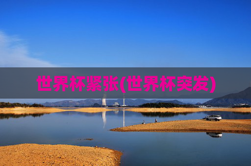 世界杯紧张(世界杯突发)